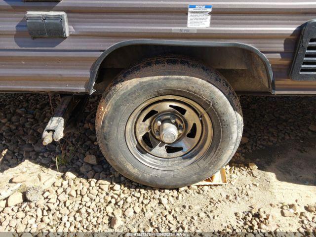 Forest Riv Wolf Pup Image 12