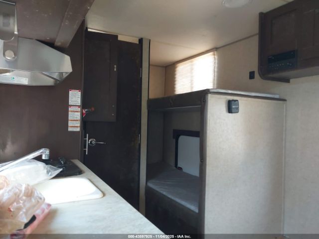 Forest Riv Wolf Pup Image 6