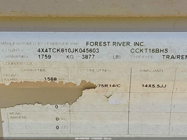 Forest Riv Wolf Pup Image 8