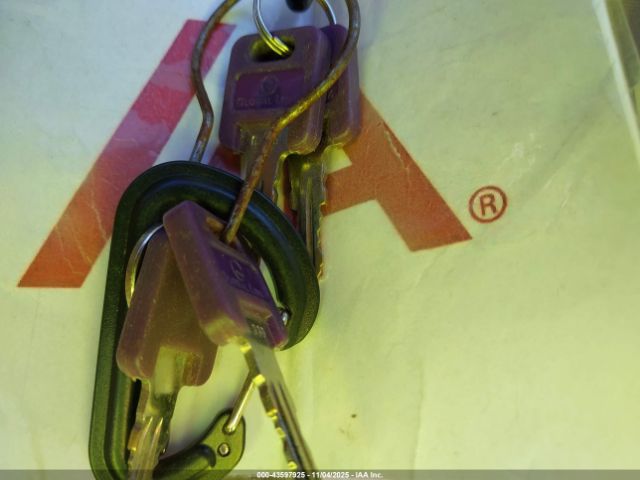 Forest Riv Wolf Pup Image 10