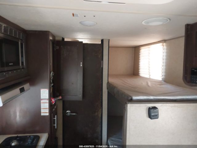 Forest Riv Wolf Pup Image 13