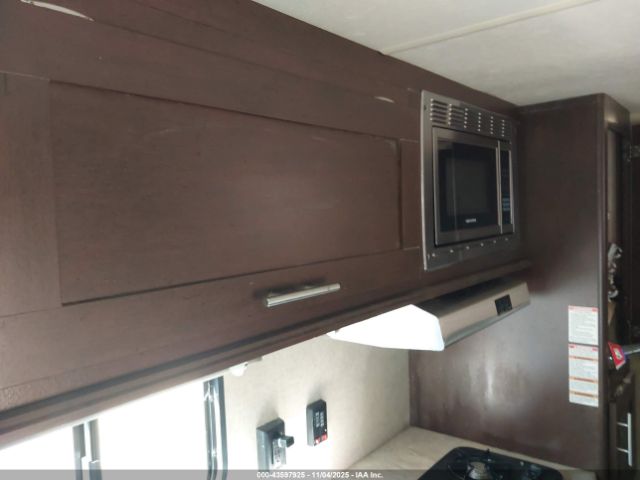 Forest Riv Wolf Pup Image 4