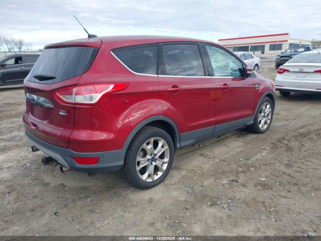 Ford Escape Sel Image 4