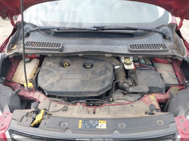 Ford Escape Sel Image 9