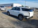 Hyundai PALISADE Sel Image 14