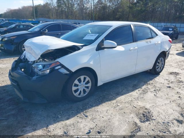 Toyota Corolla L Image 5