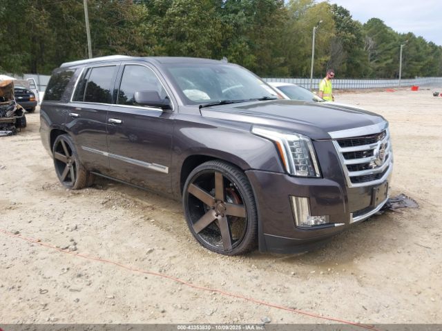 Cadillac Escalade Luxury Image 1