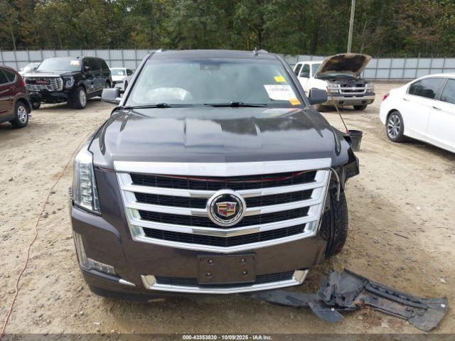 Cadillac Escalade Luxury Image 6