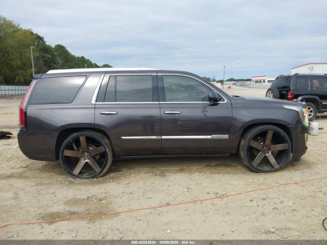Cadillac Escalade Luxury Image 8