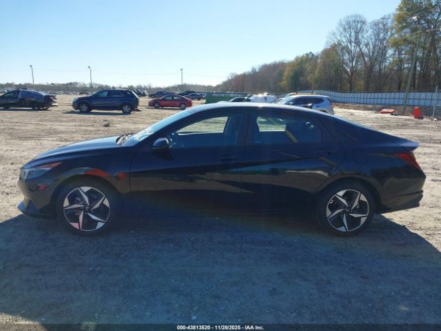 Hyundai ELANTRA Sel Image 11